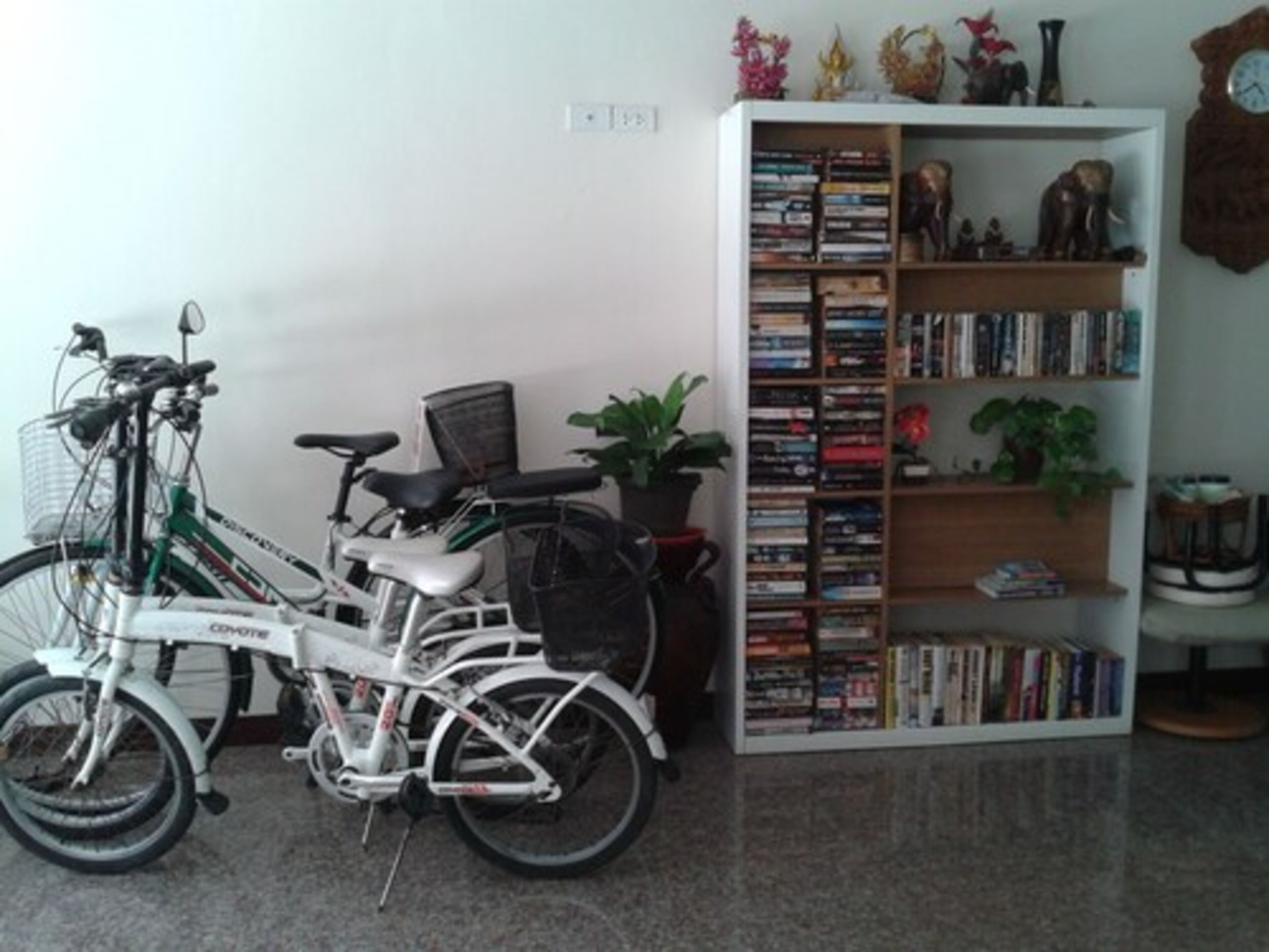 A room with a white bookshelf filled with books, a white bicycle, a potted plant, and a clock on the wall.