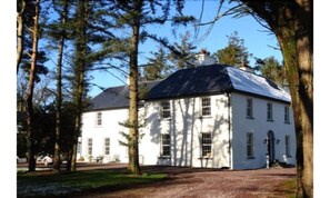 Eksteriør