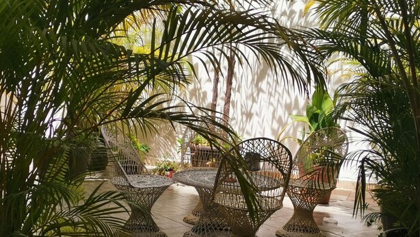 Un patio con mobiliario de mimbre y plantas en macetas.