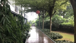 A wet pathway lined with greenery and trees, leading to a building with a staircase. - LG Lemon Grass (Sattahip)