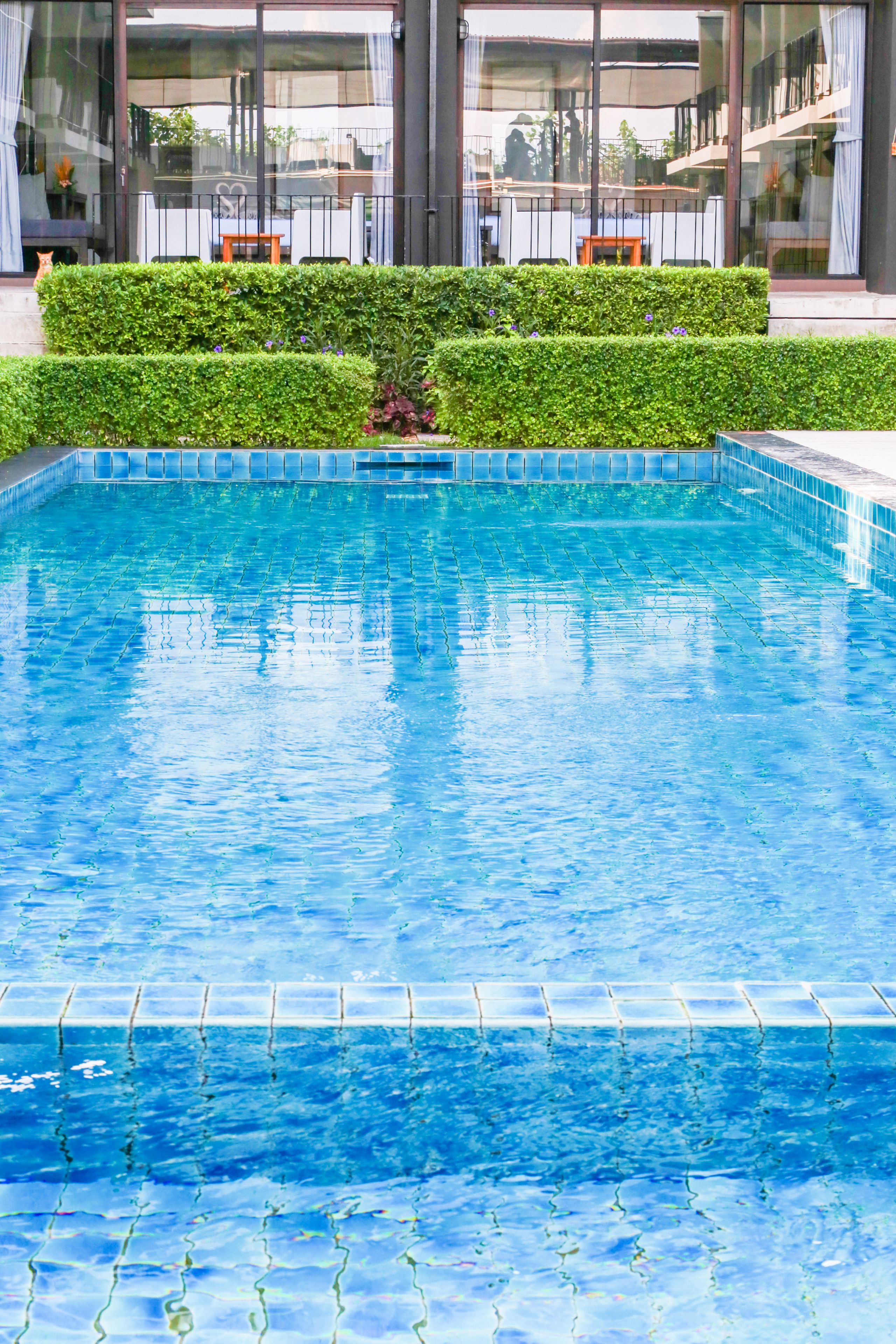 Outdoor pool, pool umbrellas, sun loungers