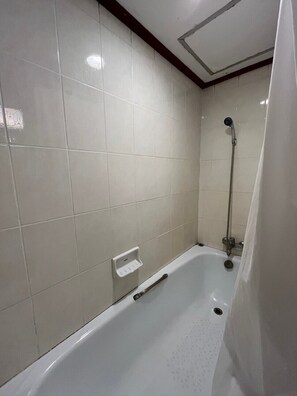 Combined shower/bathtub, free toiletries, hair dryer, towels