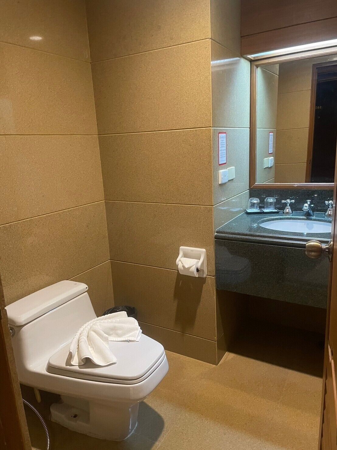 Un baño con inodoro, lavamanos y espejo.