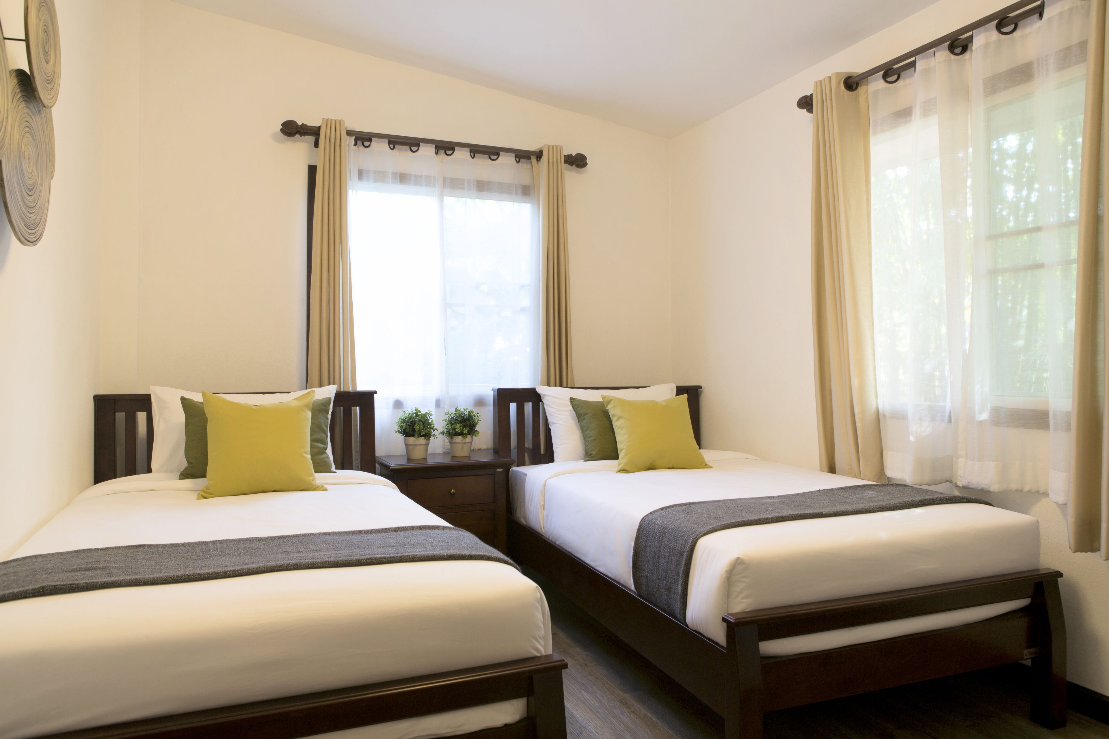 A hotel room with two single beds, a nightstand, a window with sheer curtains, and a small potted plant on the nightstand.