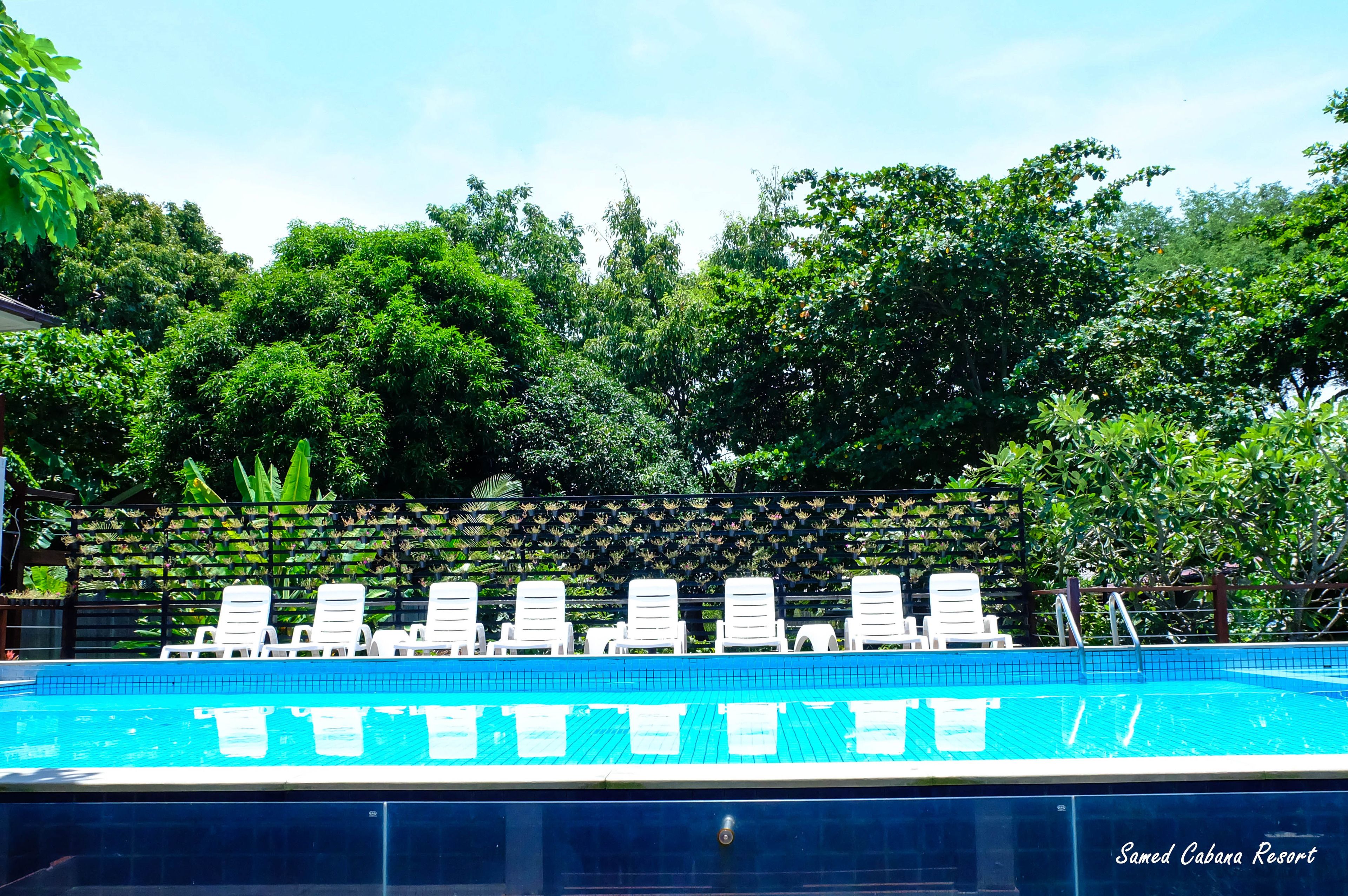 A swimming pool with white lounge chairs and a lush green backdrop.