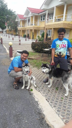 Pet-friendly