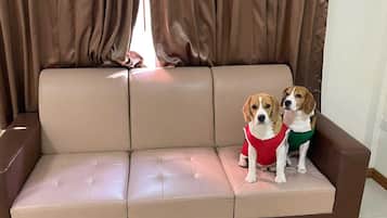 Thân thiện với vật nuôi