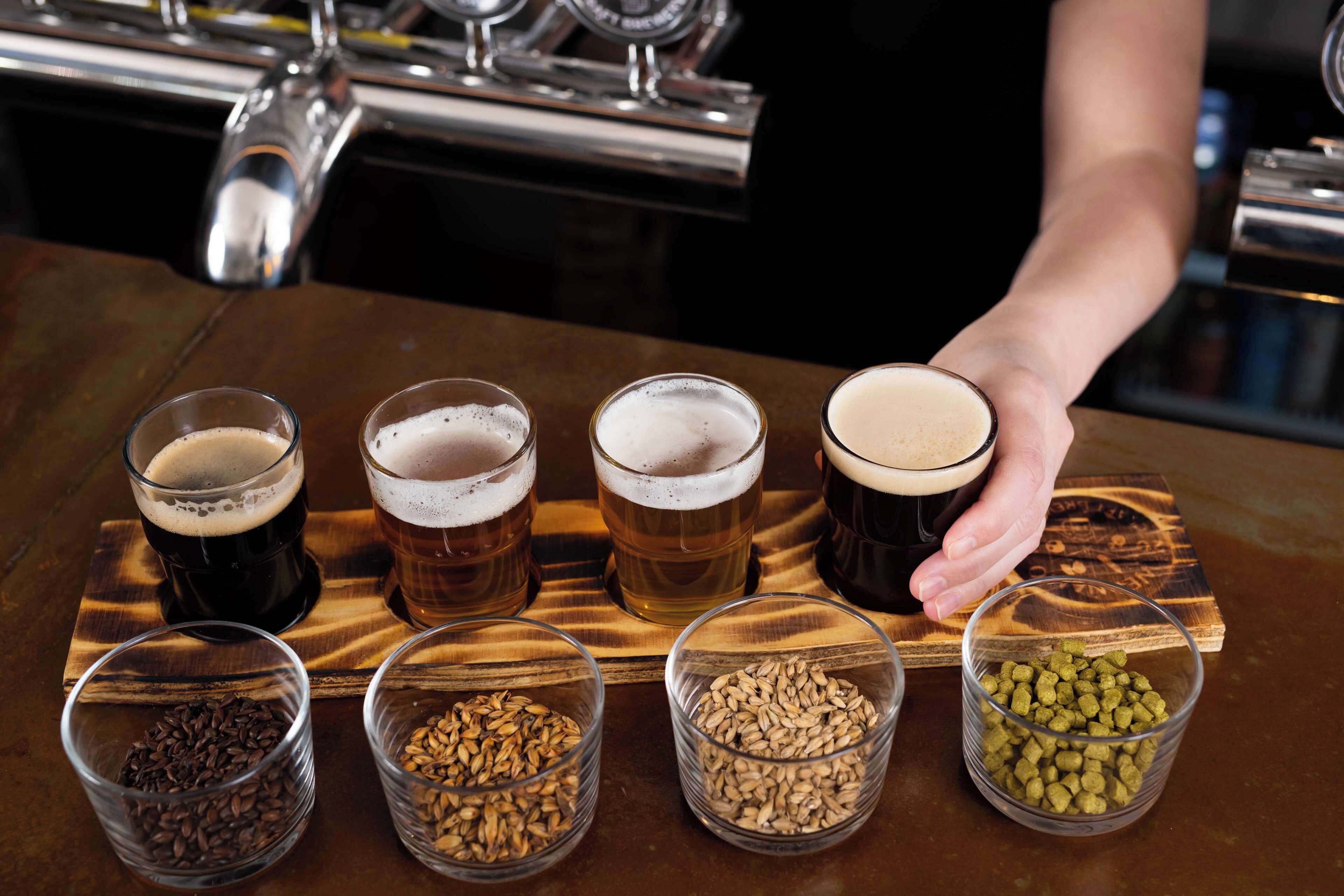 A bar setting with glasses of beer and grains.