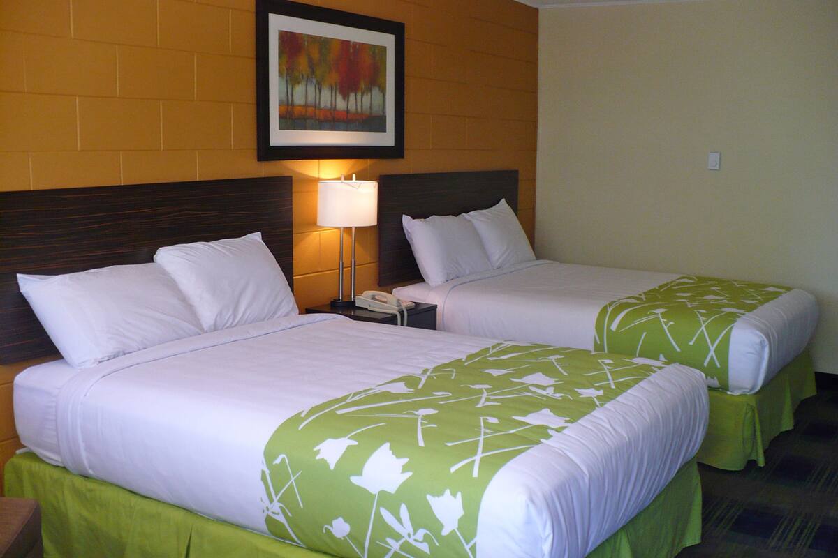 Une chambre d’hôtel avec deux lits, chacun étant agrémenté de draps blancs et d’une couvre-lit à motifs floraux verts. Un tableau encadré est accroché au mur au-dessus des lits, ainsi qu’une lampe de chevet et un téléphone sur la table de nuit.