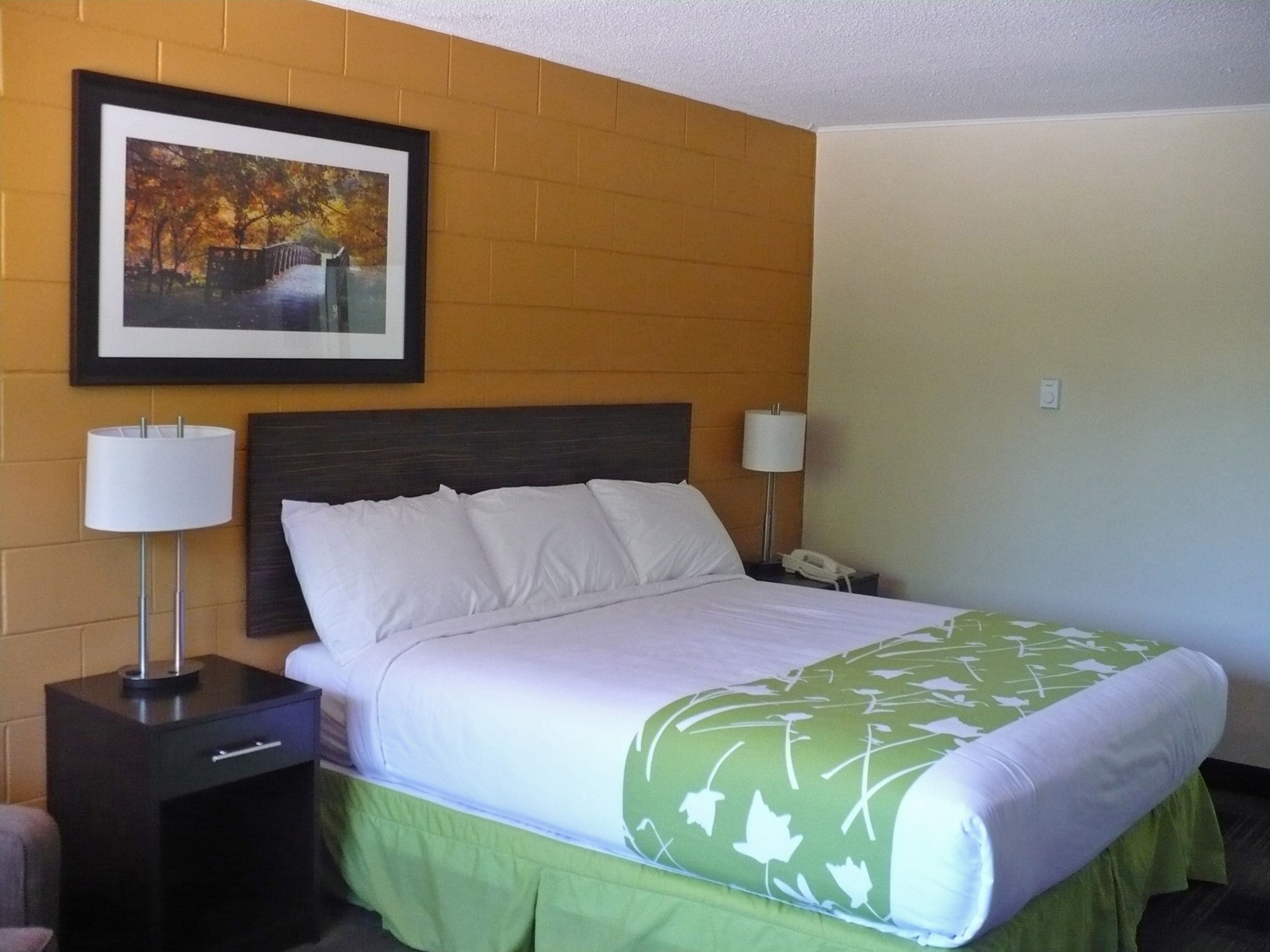 A hotel room with a bed, two bedside tables, a framed picture on the wall, and a lamp on each table.