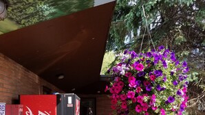 A Coca-Cola vending machine outside a building with a brick facade, a bench, and a tree with purple flowers. - The Willard Munger Inn (Duluth)