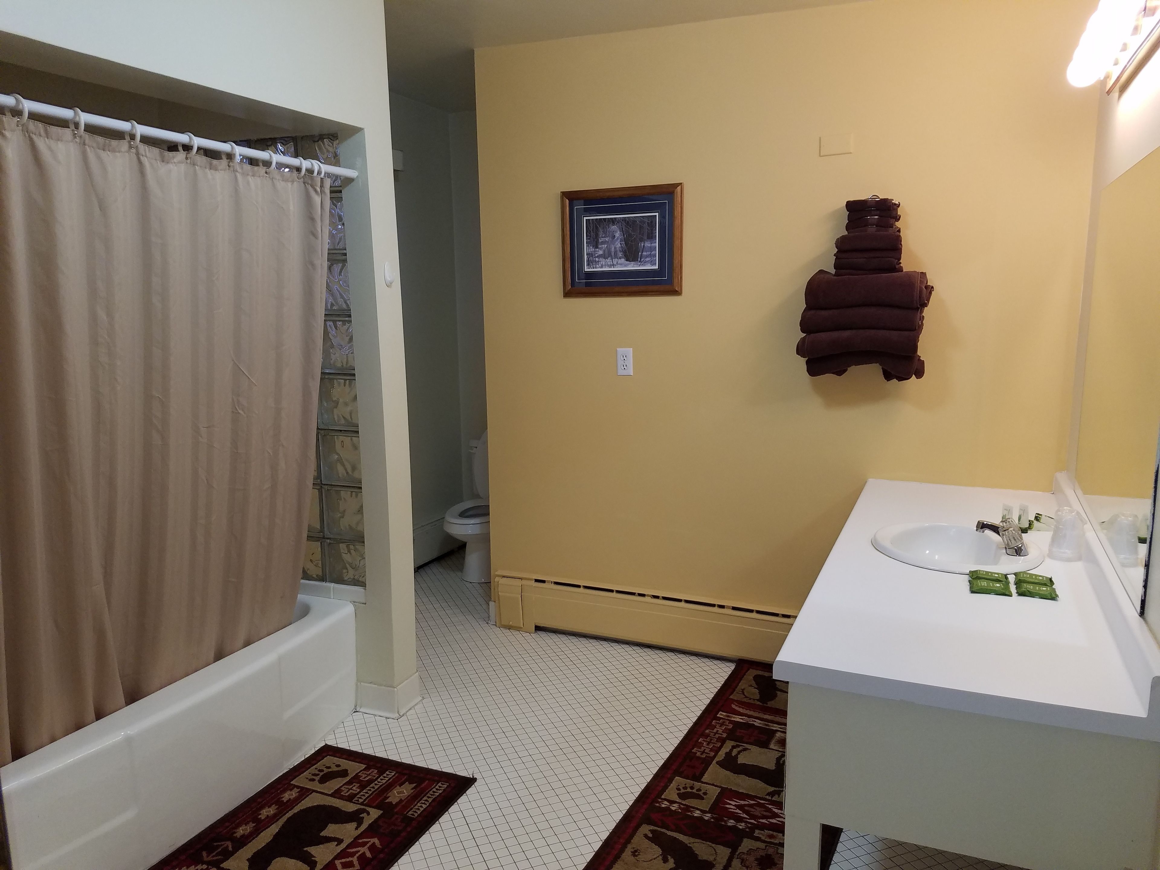 A bathroom with a bathtub, a toilet, a sink with toiletries, a towel rack, and a framed picture on the wall.