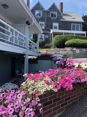 Garden - Sands of Time Motor Inn & Harbor House (Woods Hole)