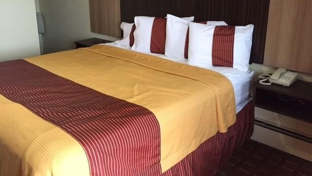 A hotel room with a bed, a bedside table with a phone, and a wall-mounted shelf with a red object. - Budget Inn (Tonawanda)