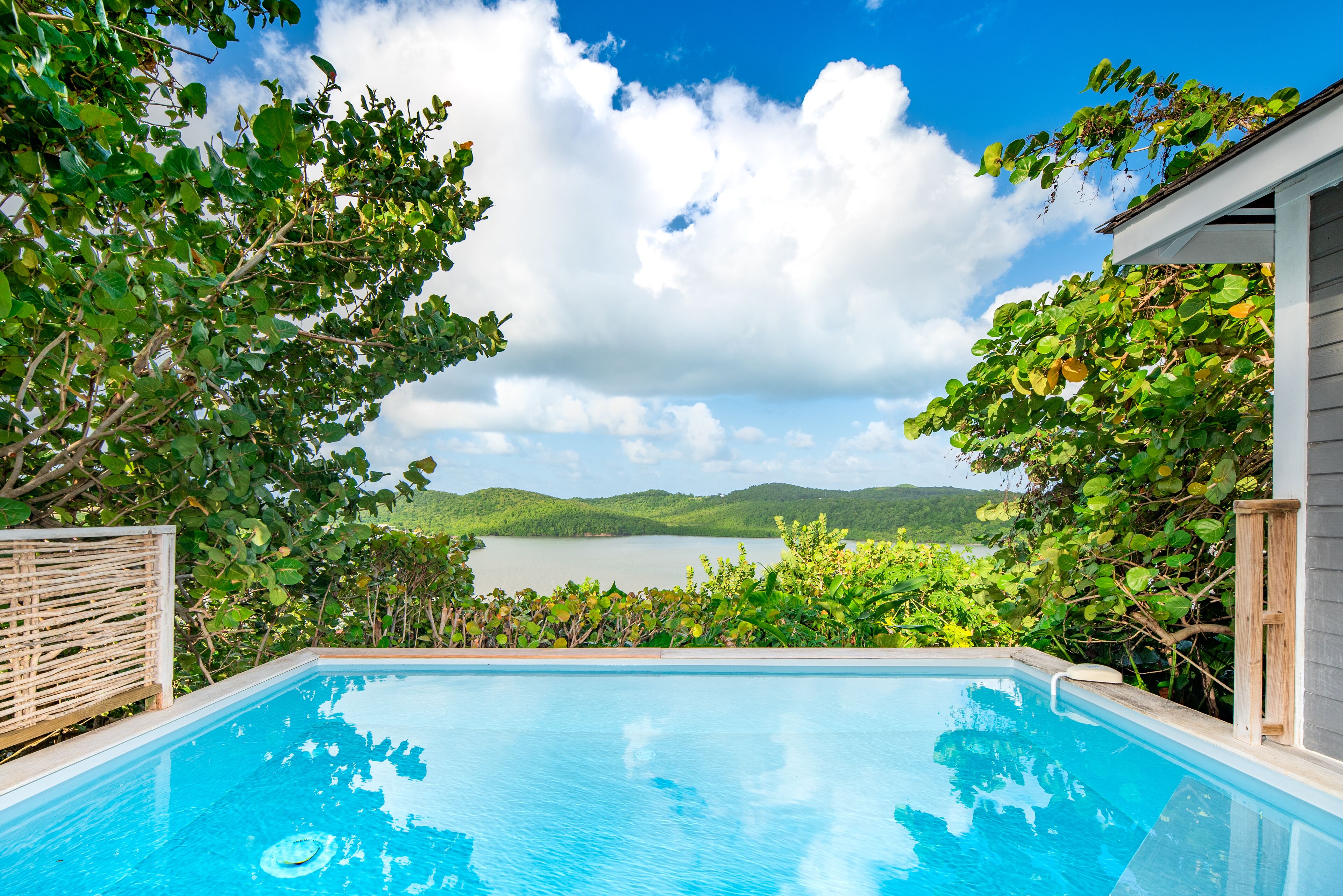 superior double room, private pool | view from room