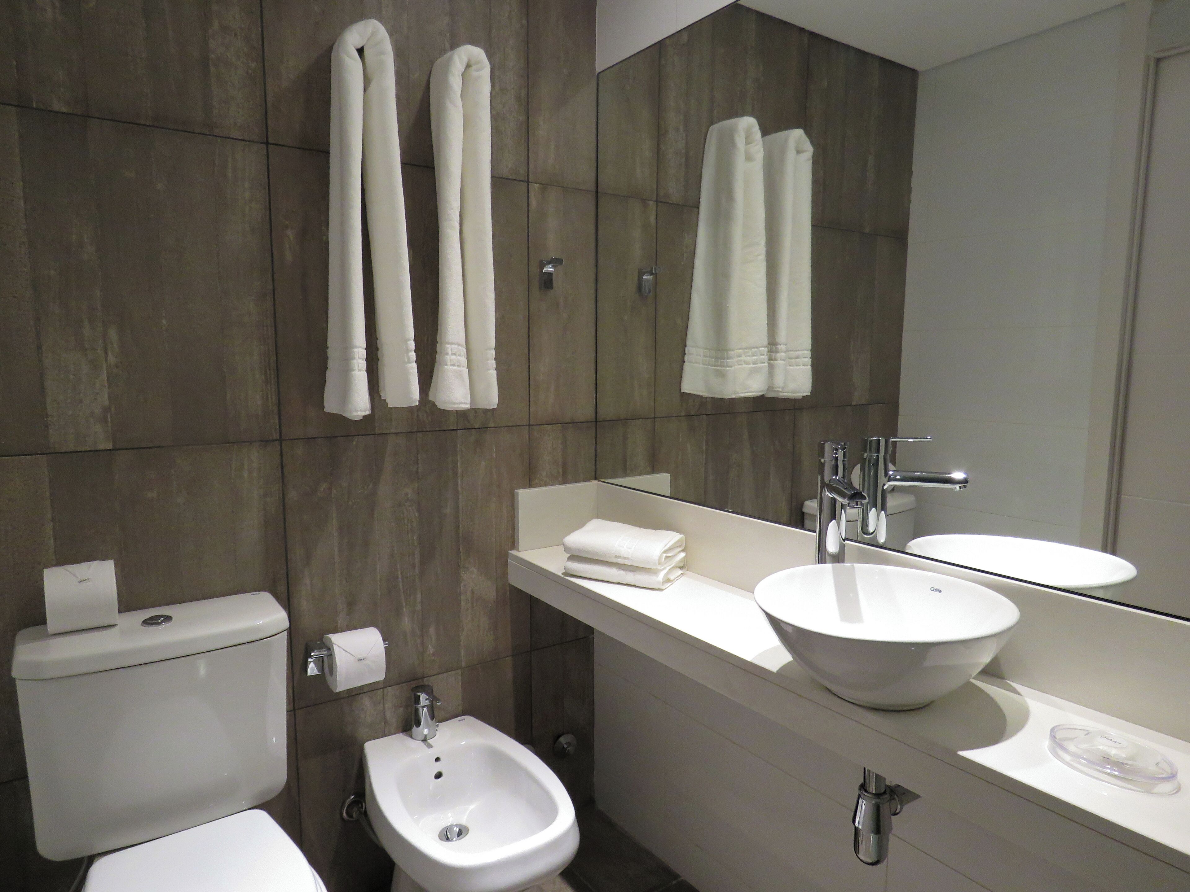 shower, free toiletries, hair dryer, bidet