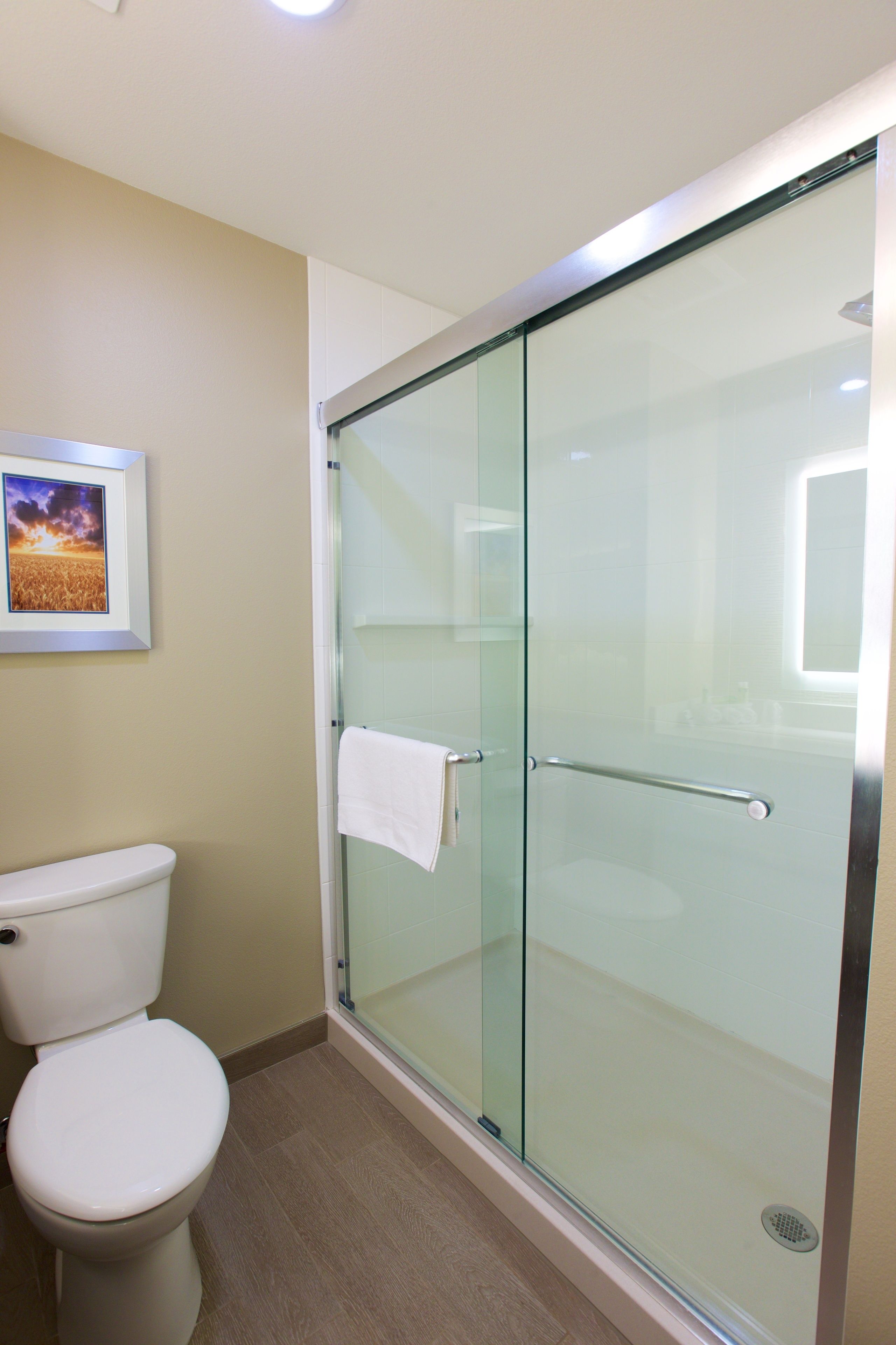 Une salle de bain avec une douche à parois de verre, des toilettes et un tableau encadré au mur.