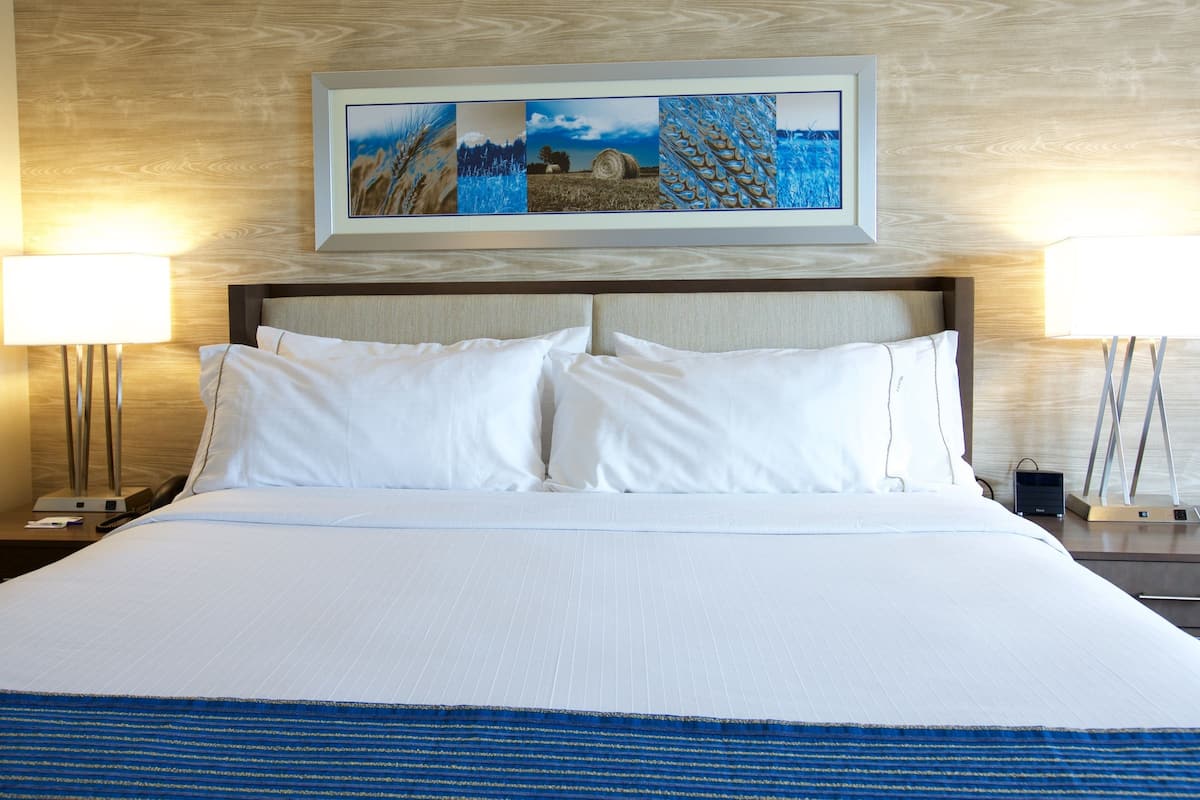 standard room, 1 king bed, accessible (hearing) | desk, iron/ironing board, free wifi, bed sheets