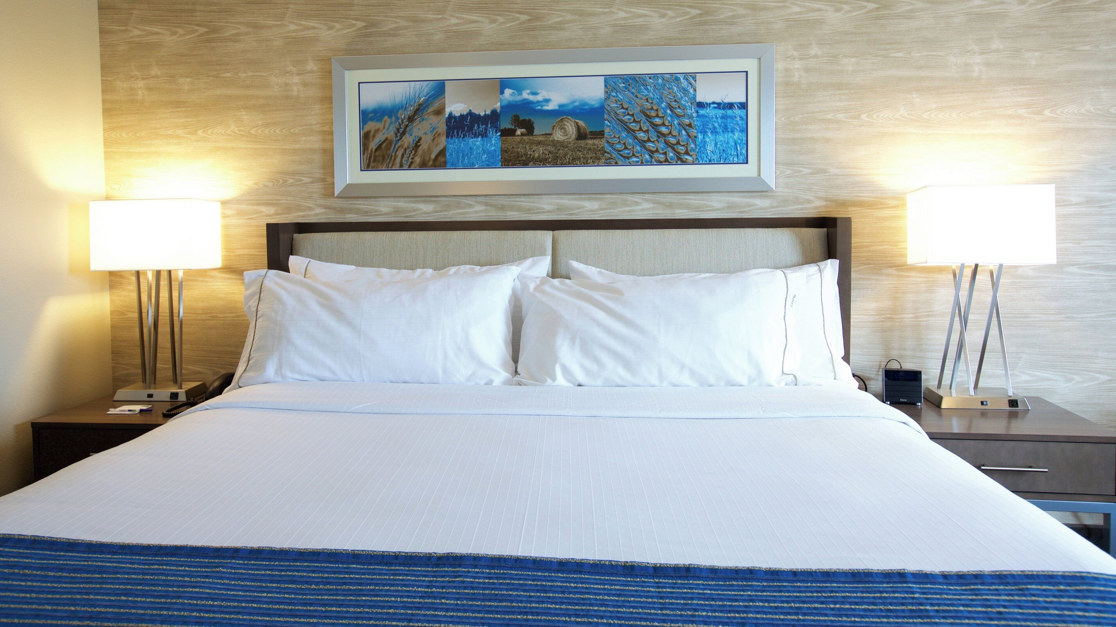 Une chambre d’hôtel avec un grand lit, deux tables de chevet, une tête de lit et un tableau encadré au-dessus du lit.