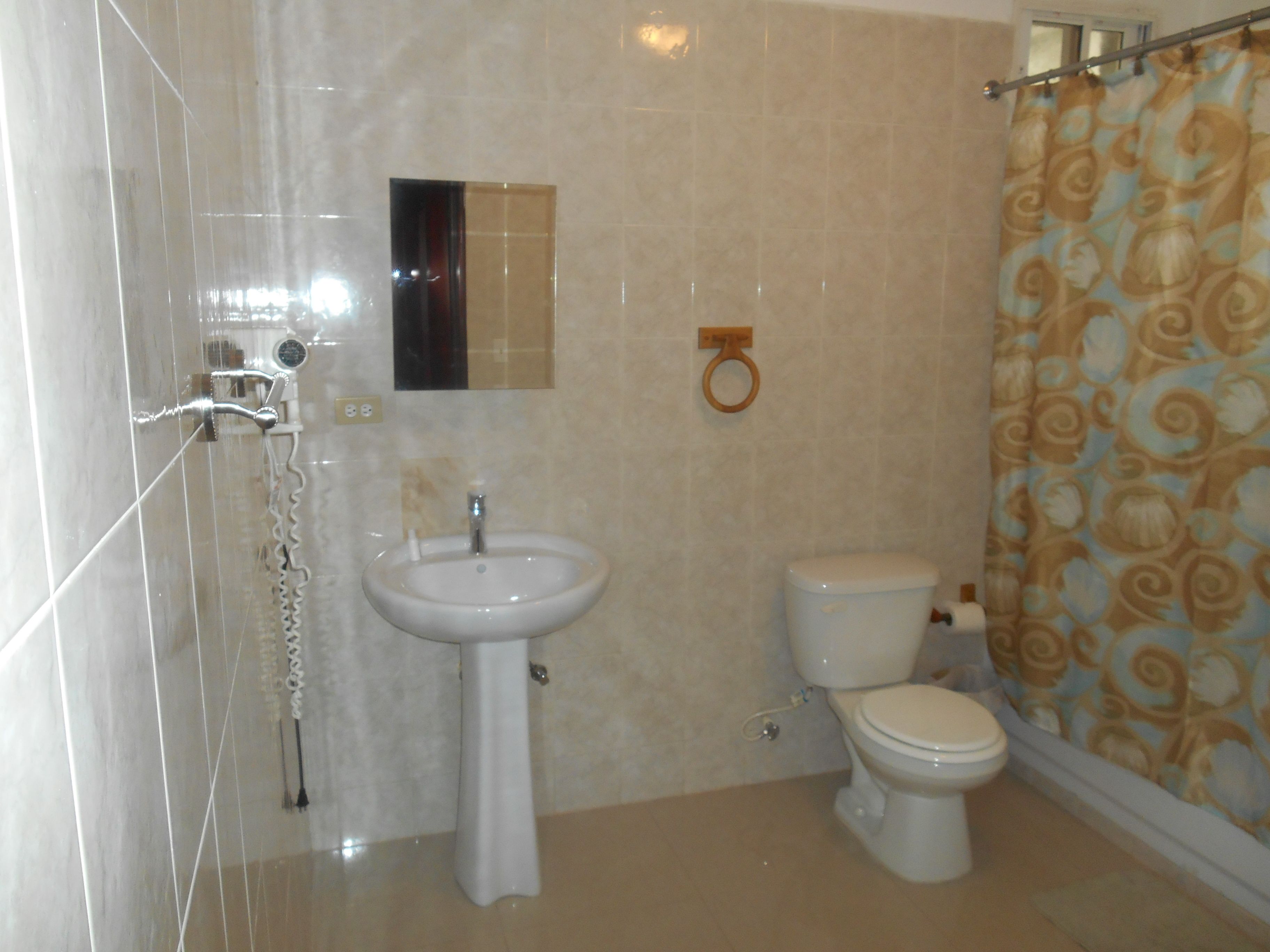 presidential suite | bathroom | combined shower/bathtub, spring water bathtub, rainfall showerhead