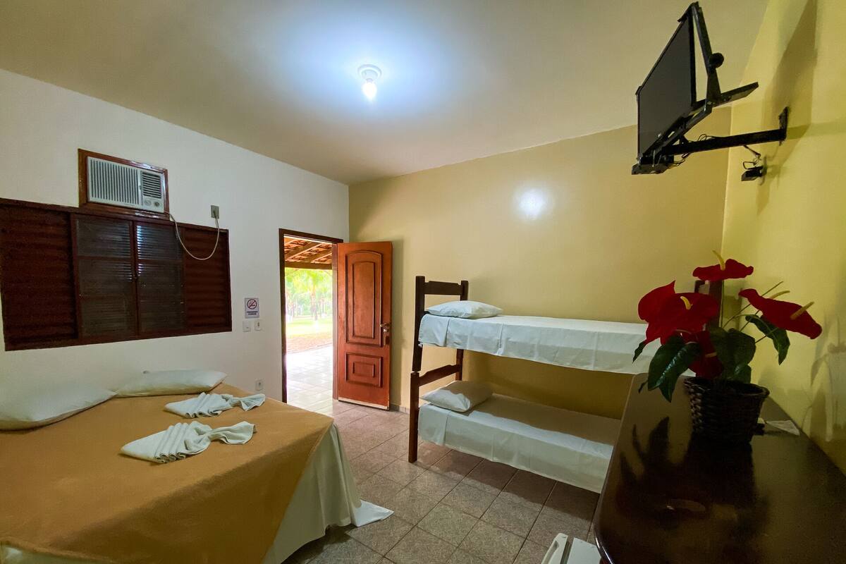 Una habitación con dos camas, televisión, una planta y una puerta que da al exterior.