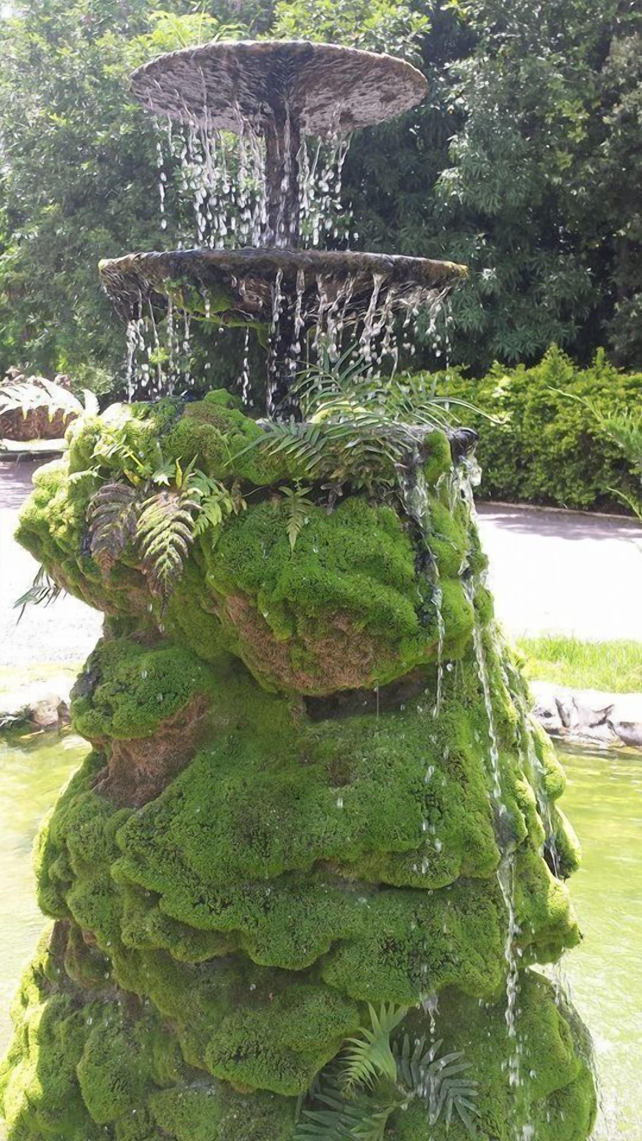 Foto - Hotel Pousada Bonsai