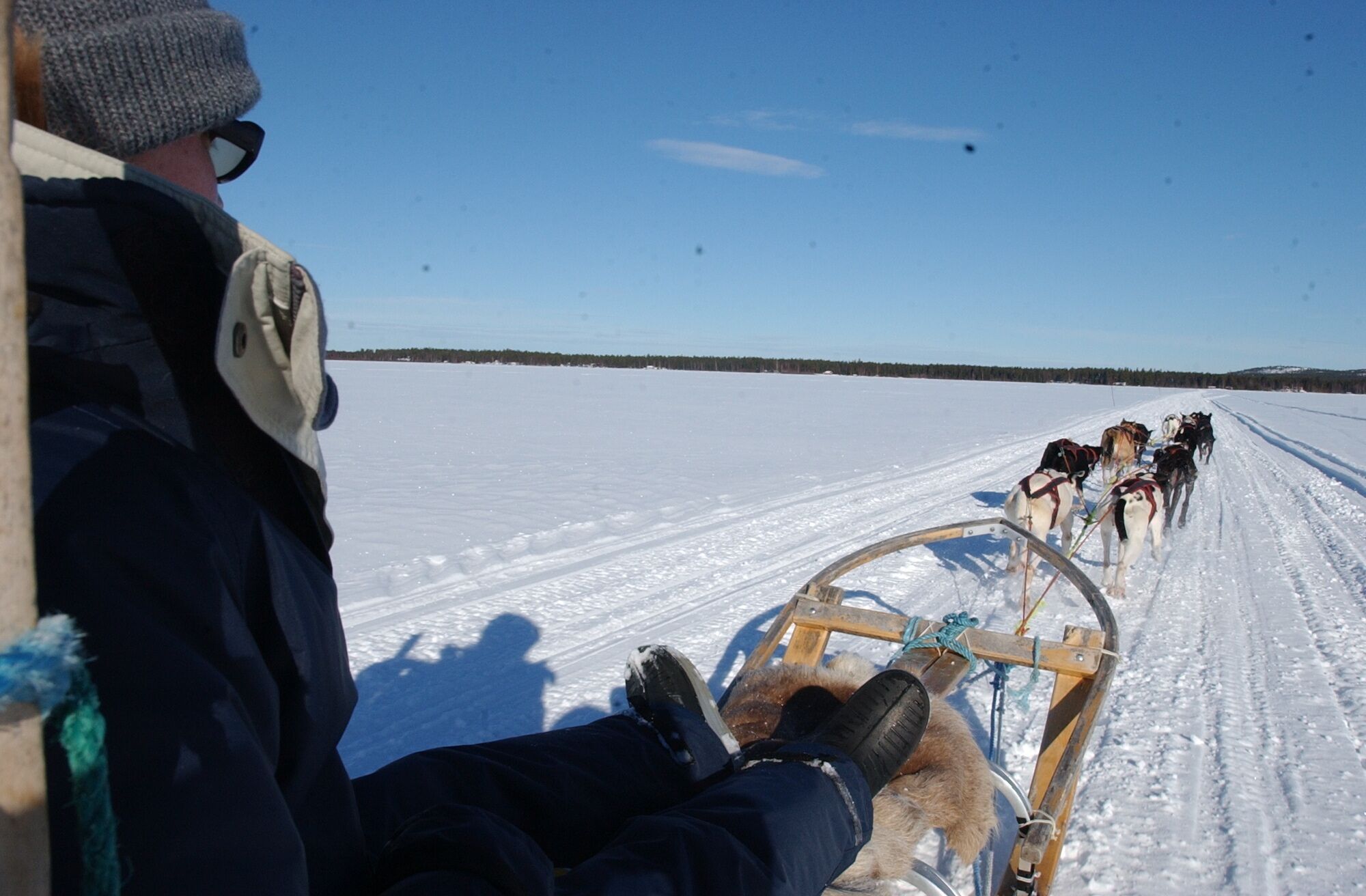 Une personne assise sur une luge tirée par des chiens à travers un paysage enneigé.