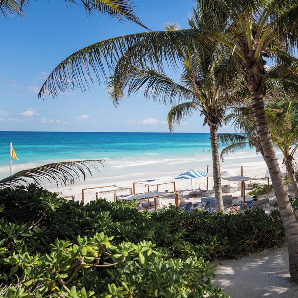 Vue depuis l’hébergement