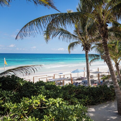 La Zebra Tulum - a Small Luxury Hotel