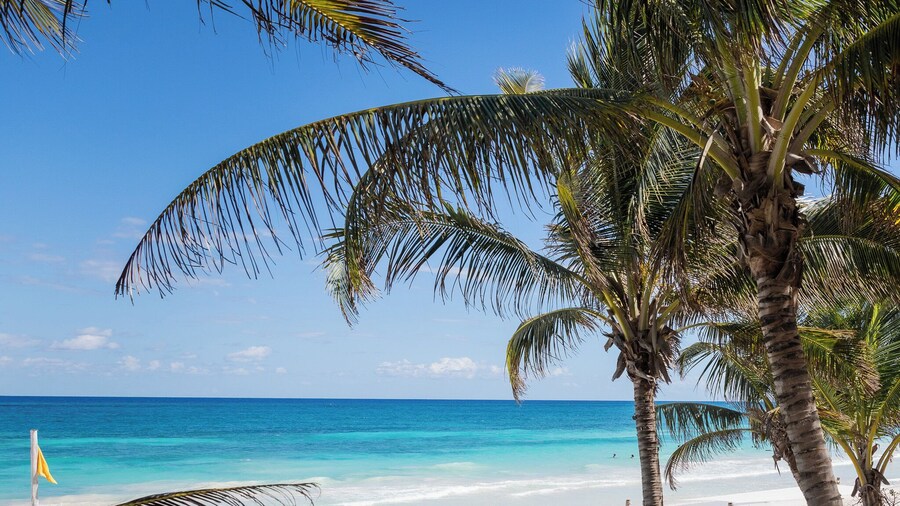 La Zebra Tulum - a Small Luxury Hotel