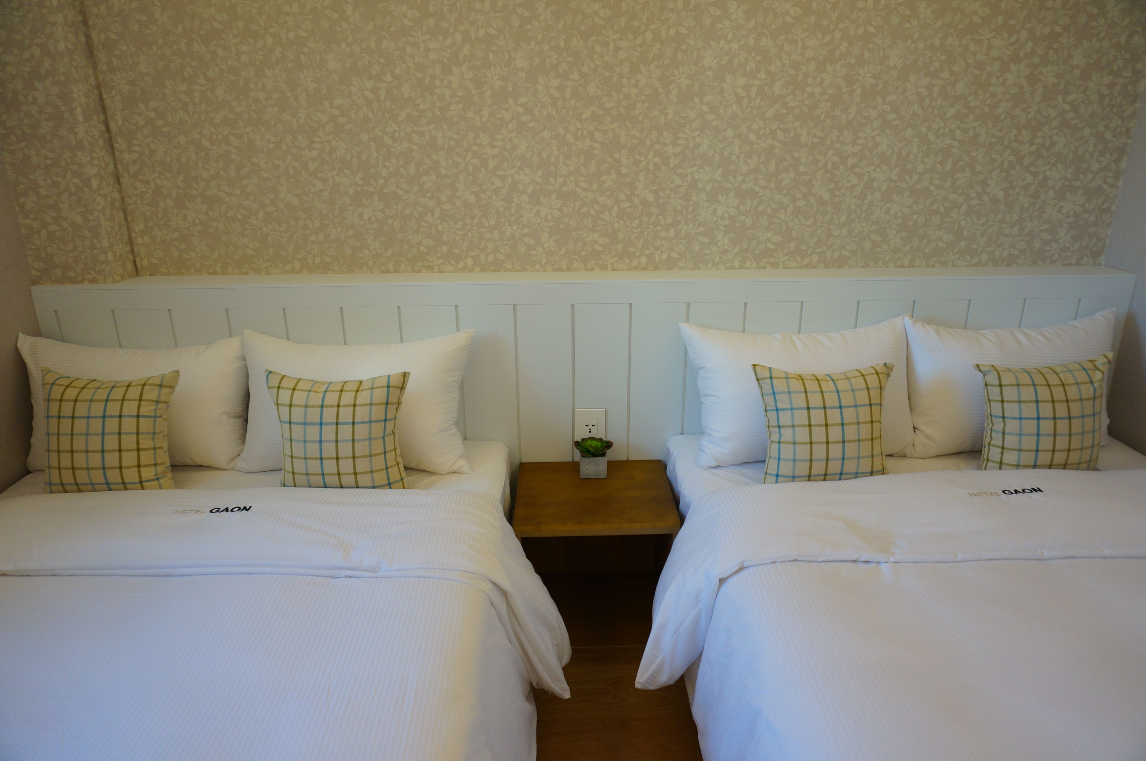 A hotel room with two beds, each with white bedding and checkered pillows. A small wooden nightstand with a plant is between the beds.