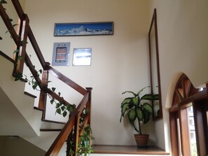 A wooden staircase with a potted plant at the bottom.