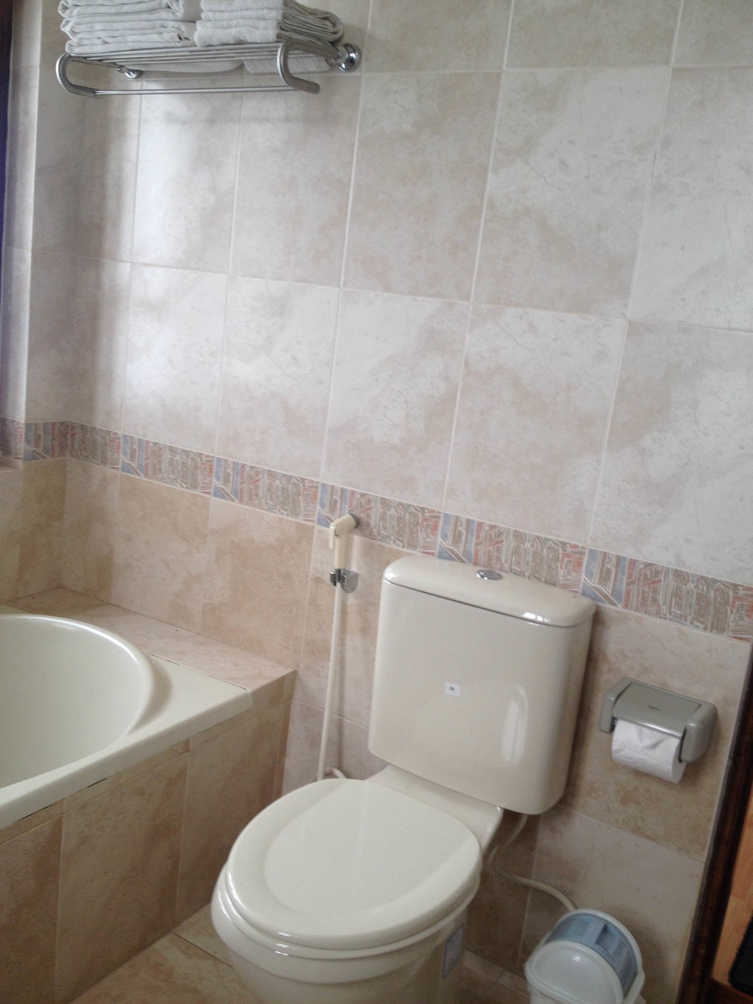 A bathroom with a toilet, a bidet, and a towel rack.