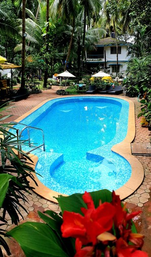 Outdoor pool, open 7:00 AM to 7:00 PM, sun loungers