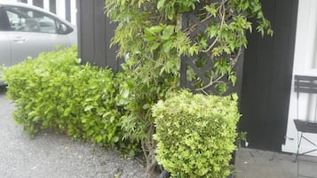 外觀細部