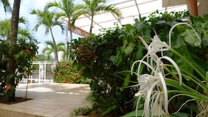 Ein Garten mit verschiedenen Pflanzen und einem Weg.