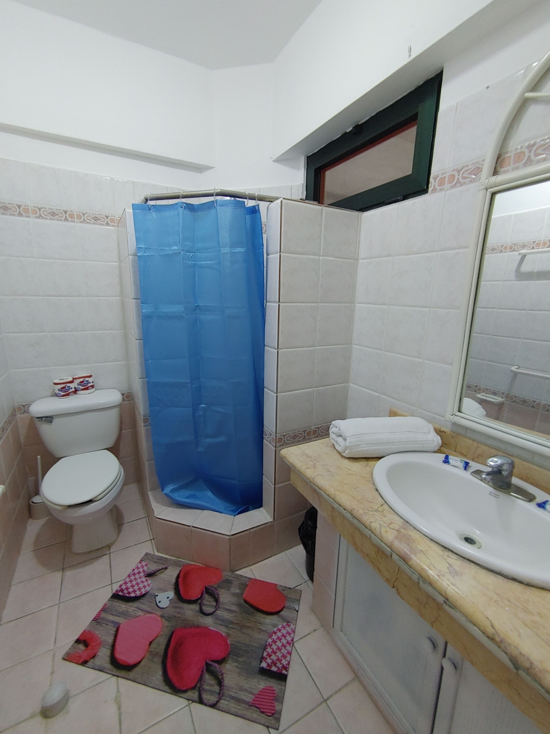 Ein Badezimmer mit Toilette, Waschbecken und Duschbereich.
