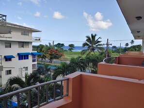 View from property - Meridiana Residence (Guayacanes)