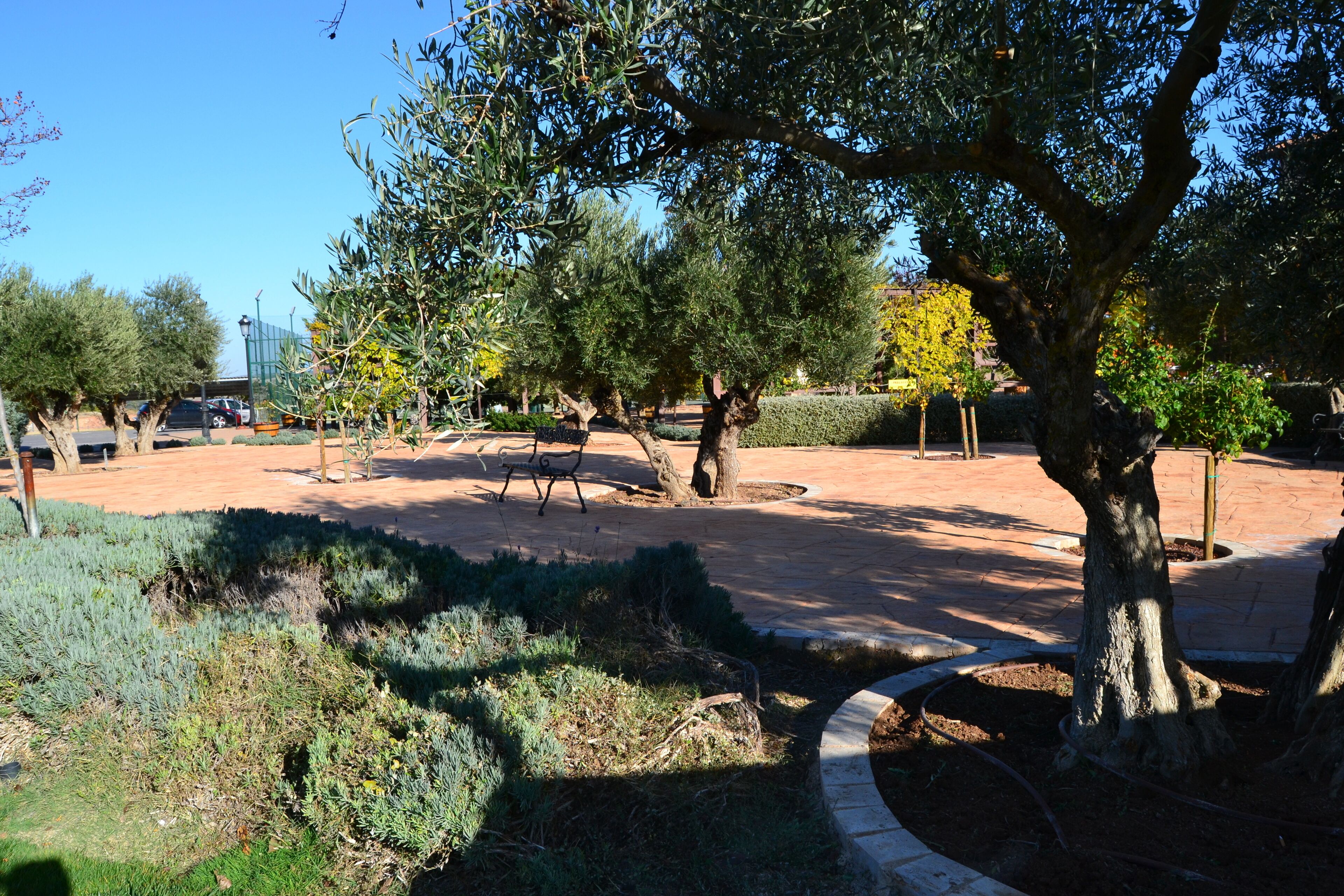 outdoor banquet area