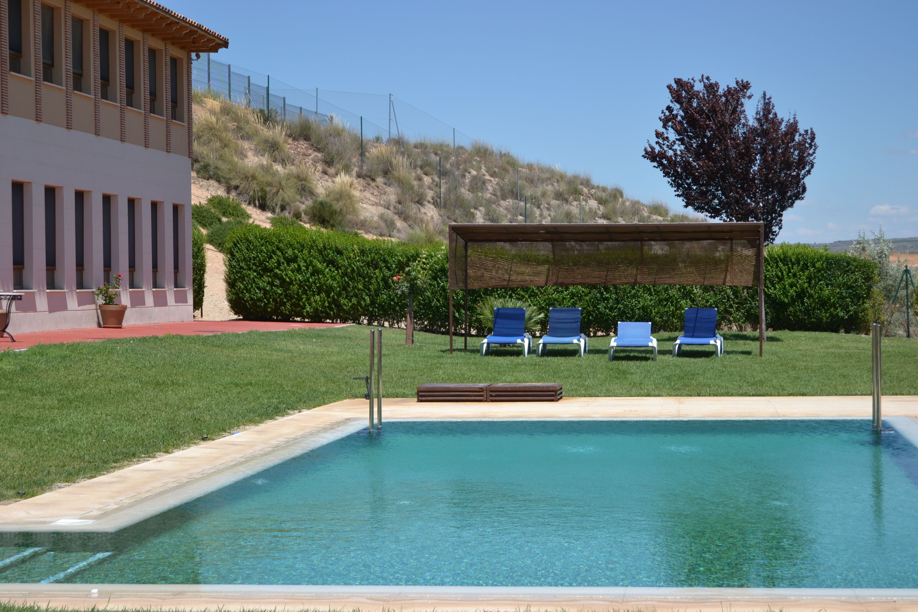 Seasonal outdoor pool, sun loungers