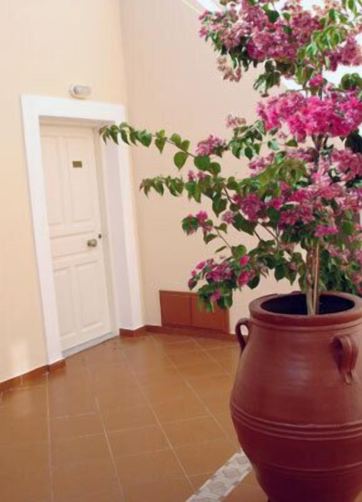 Quarto com um vaso grande de terracota contendo flores cor-de-rosa, uma porta branca e chão ladrilhado.