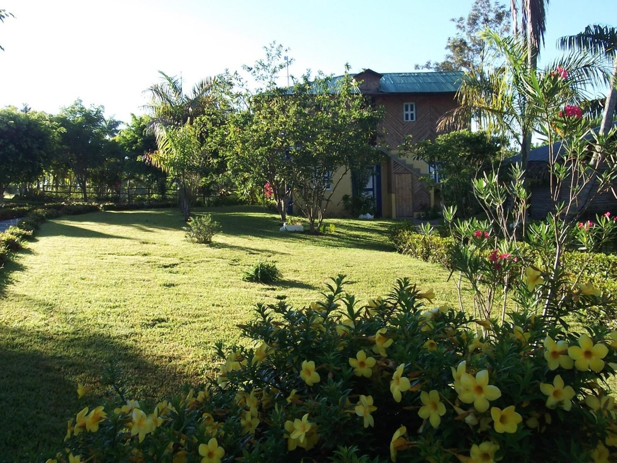 A well-maintained garden with a lawn, flowering plants, and a building with a metal roof.
