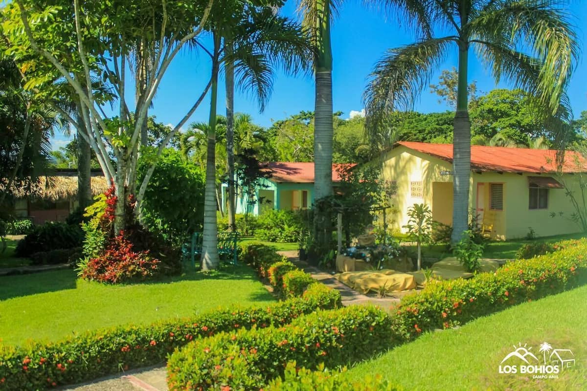 Un jardin tropical avec des palmiers et une petite maison dotée d’un toit rouge.
