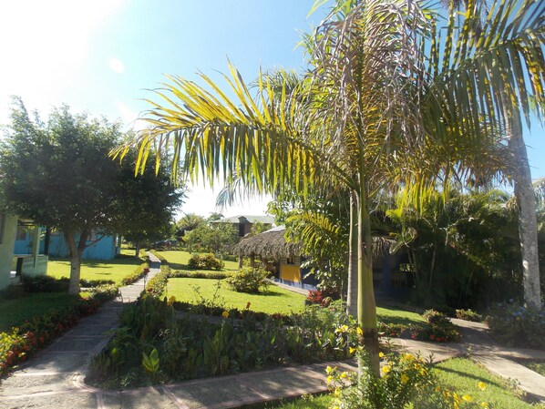 A garden with a pathway, palm trees, and a building with a thatched roof. - Los Bohios Campo Añil (Jarabacoa)