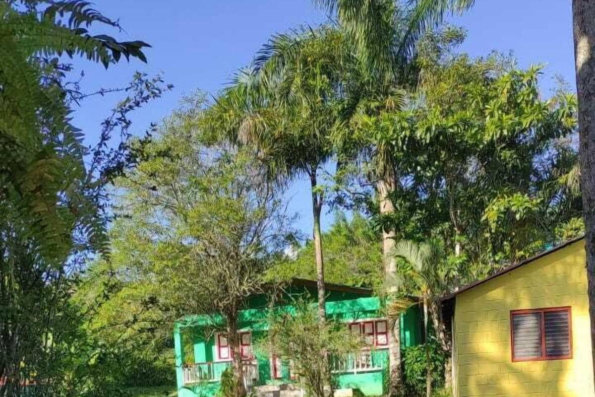 Un bâtiment vert avec une fenêtre rouge, entouré d’une végétation luxuriante et agrémenté d’un banc rose.