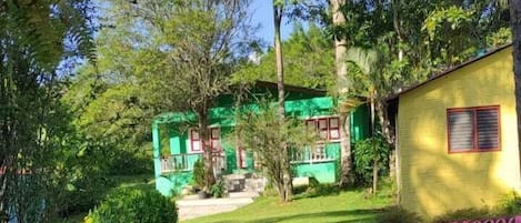 A green building with a red window, surrounded by lush greenery and a pink bench.