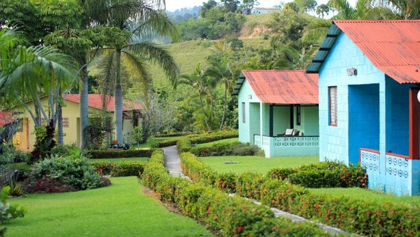 Un jardín cuidado con un sendero que lleva a un edificio azul con techo rojo, rodeado de abundante vegetación y palmeras.