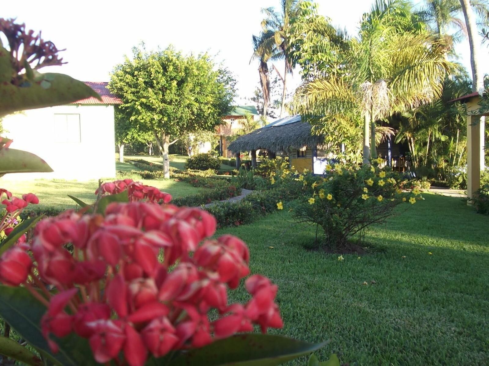 Ein gepflegter Garten mit verschiedenen Pflanzen und Blumen, einer Struktur mit Strohdach und einem kleinen weißen Gebäude im Hintergrund.