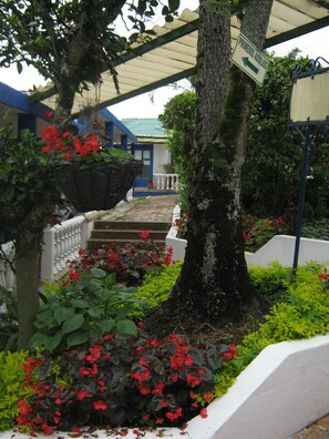 A covered outdoor area with a tree, red flowers, and a sign indicating a direction. - Hotel Villa Paz (San Francisco)