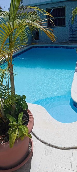 Terrace/patio - Hotel Restaurant Hamilton (Boca Chica)